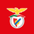 Sport Lisboa e Benfica - Futebol, SAD Website