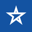 Blue Star Limited Website