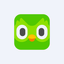 Duolingo Inc Website