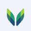 Teva Pharmaceutical Inds Ltd Website