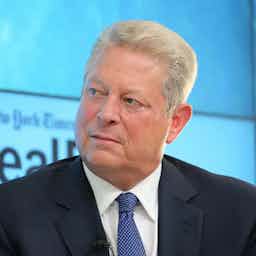 Al Gore profile