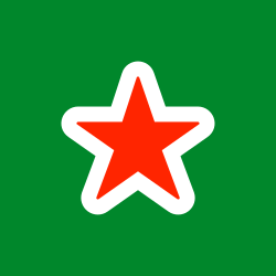 Heineken N.V. Website