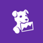 Datadog Inc Website